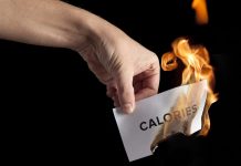 Researchers pick out calorie-burning pathway in fats cells Burning Calories