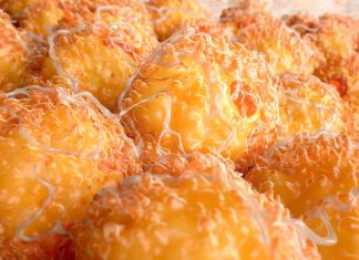 New findings on mechanisms for body temperature regulation by using fat tissue fat tissue