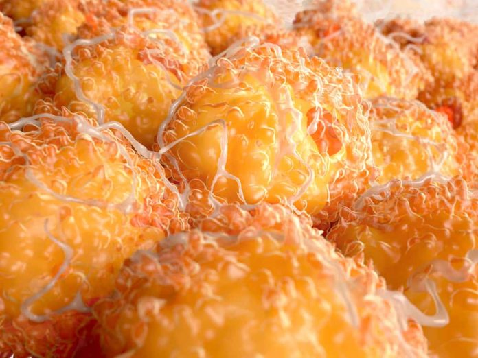 fat tissue fat tissue