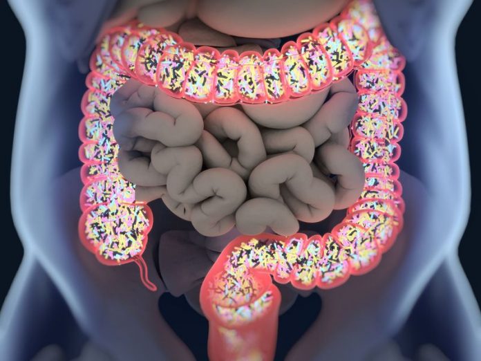 individual's gut bacteria individual's gut bacteria