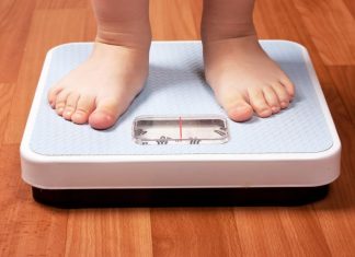 Loss of inflammatory signaling molecule protects mice in opposition to weight loss plan-caused weight problems obesity scale